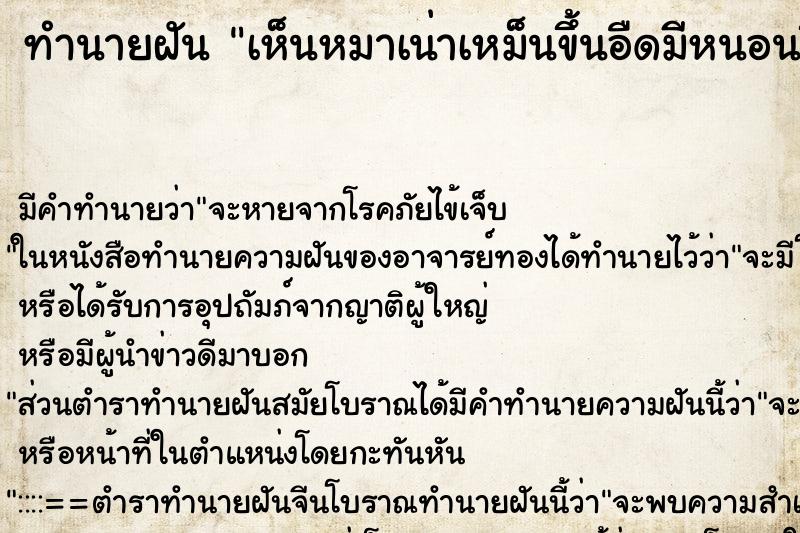 ทำนายฝัน เห็นหมาเน่าเหม็นขึ้นอืดมีหนอนขึ้น วัน